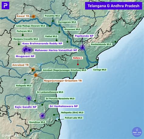 Msport Andhra Pradesh: Top Betting Sites & Offers 2026